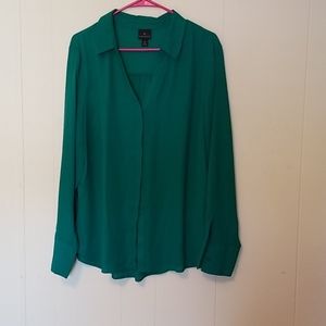 Green blouse
